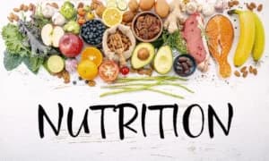 Foundations of Nutrition & Lifestyle