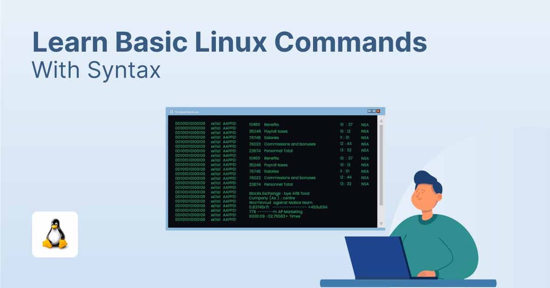 Linux Command Line Basics for Beginners